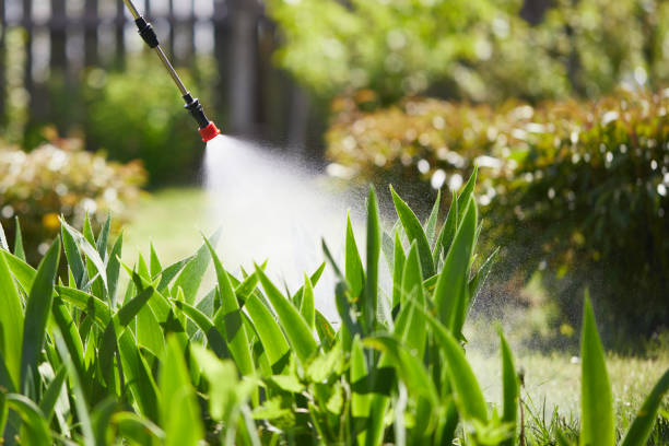 24/7 Emergency Mosquito Control experts in Three Oaks, MI